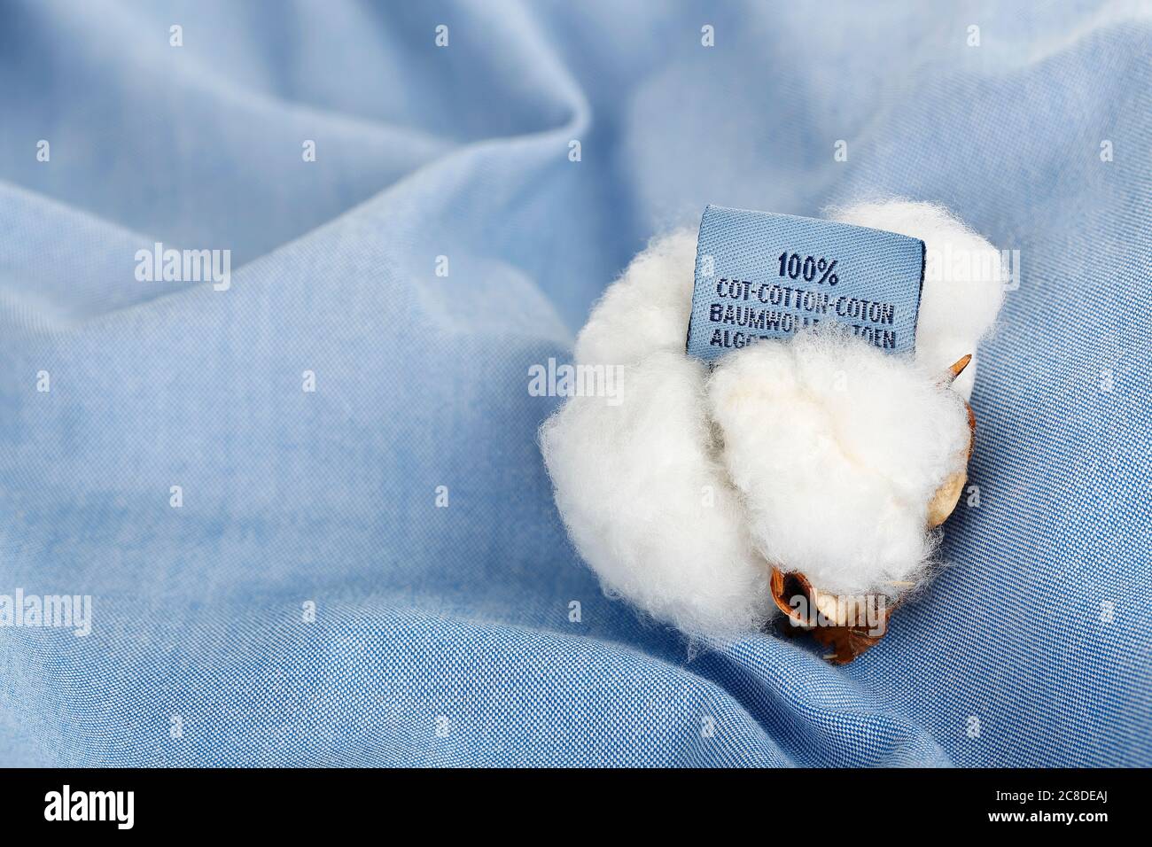 cotton ball with label on blue fabric Stock Photo - Alamy