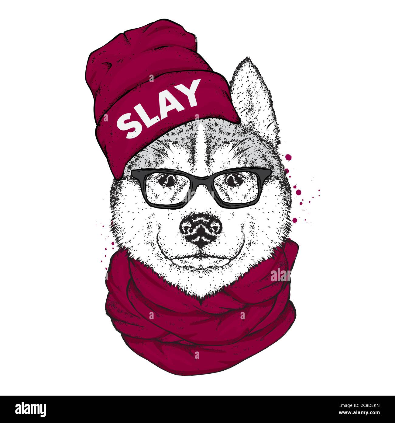 husky clothes dog