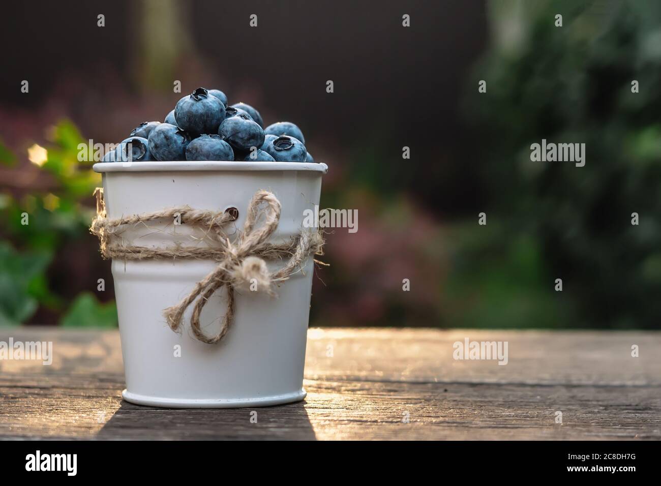 Some blueberries in a decorate small bucket on wooden banch in the garden on summer sunset, healthy food concept Stock Photo