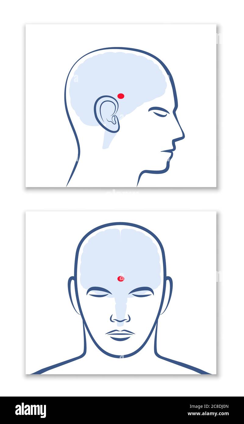 PINEAL GLAND or THIRD EYE. Lateral and frontal view with position in the human brain - graphic illustration on white background. Stock Photo