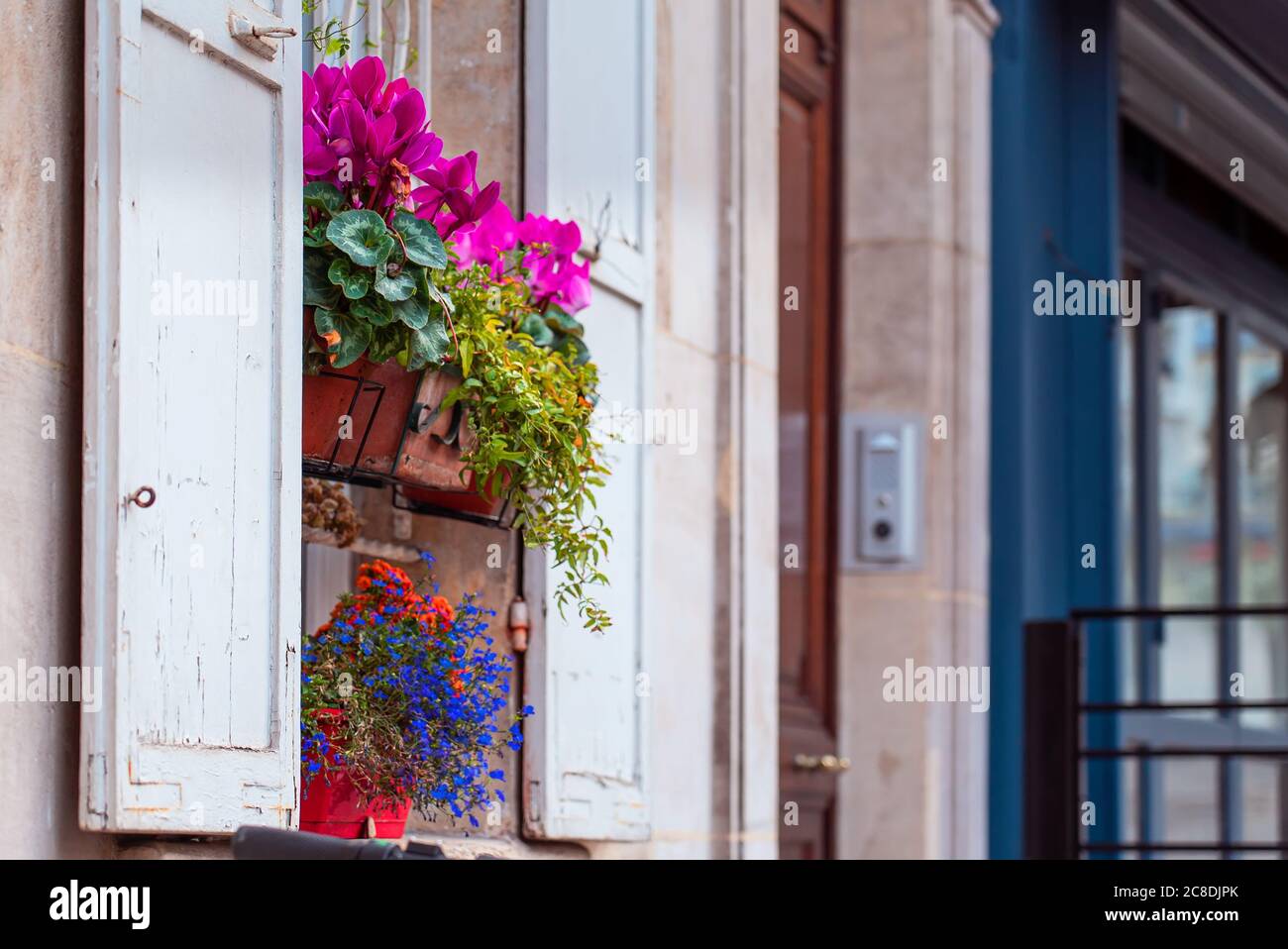Flowers on windows with shutters of old buildings on Montmartre, Paris. Autumn in France, old town Stock Photo