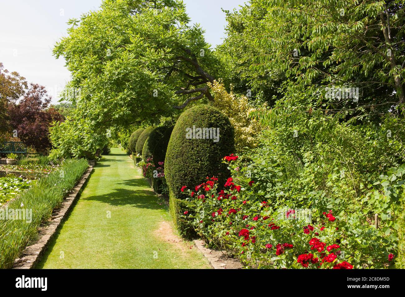 A beautiful English garden The Courts which is open to the public throughout the year. Here is a grassed path beside a pool and mixed herbaceous border Stock Photo