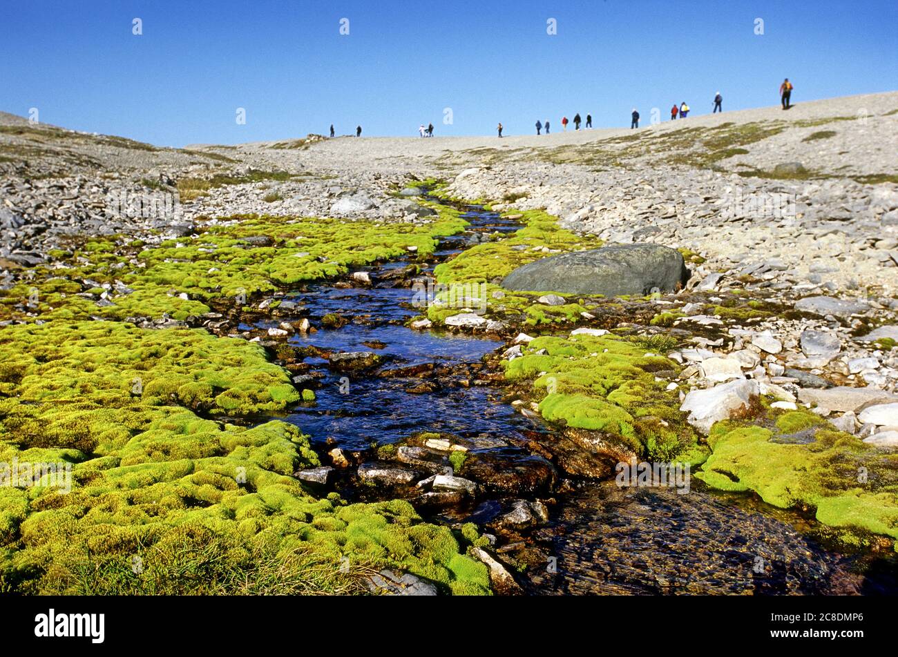 Visiting tourist hiking on Mansel Island located in the Hudson Bay, Nunavut, Canada Stock Photo