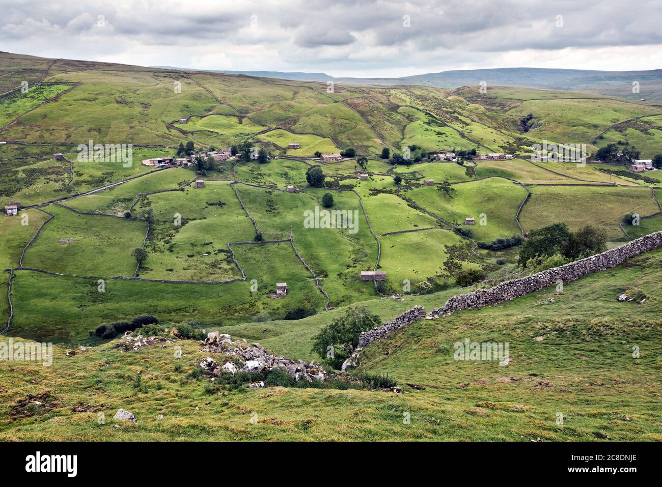 The hamlet of Angram, upper Swaledale, in the Yorkshire Dales National Park, UK. Stock Photo