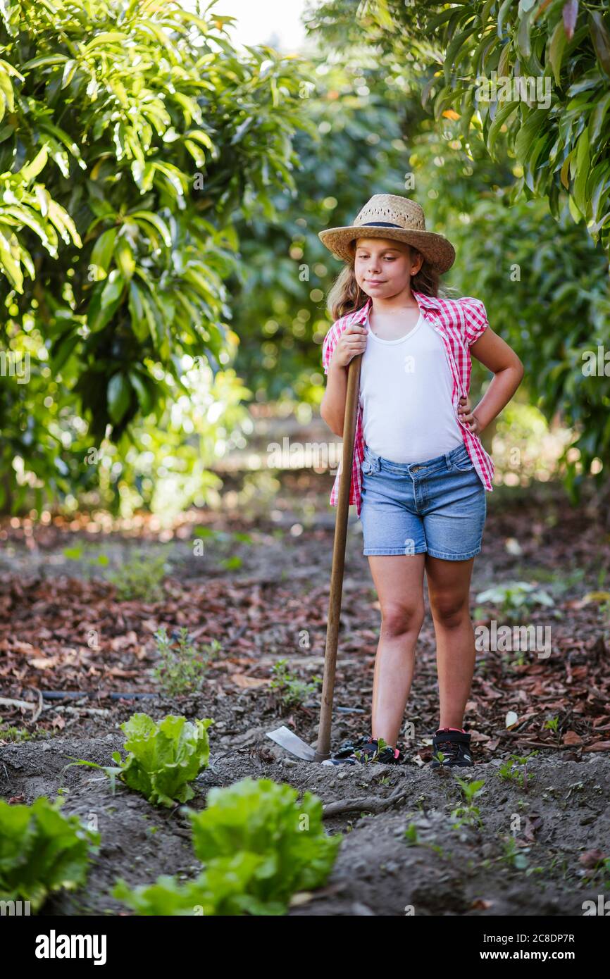 Garden hoe hi res stock photography and images Alamy