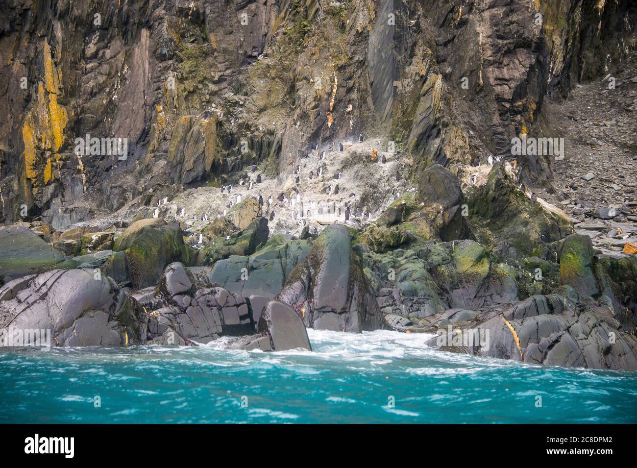 Elephant island hi-res stock photography and images - Alamy