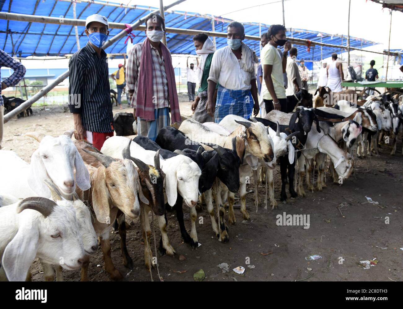 Patna India 23rd July People Buy Goats Ahead Of The Forthcoming Eid Al Adha Festival At A Makeshift Market In Patna India S Bihar State On July 23 Credit Str Xinhua Alamy Live News Patna India 23rd July People Buy Goats Ahead Of The Forthcoming Eid Al Adha Festival At A Makeshift Market In Patna India S Bihar State On July 23 Credit Str Xinhua Alamy Live News