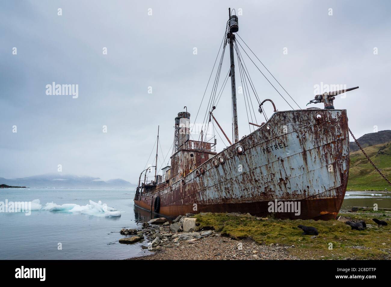 UK, South Georgia and South Sandwich Islands, Grytviken, Shipwreck of old whaling boat Stock Photo