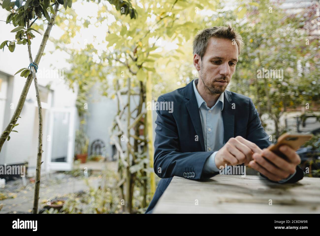 Buasinessman using smartphone in backyard Stock Photo