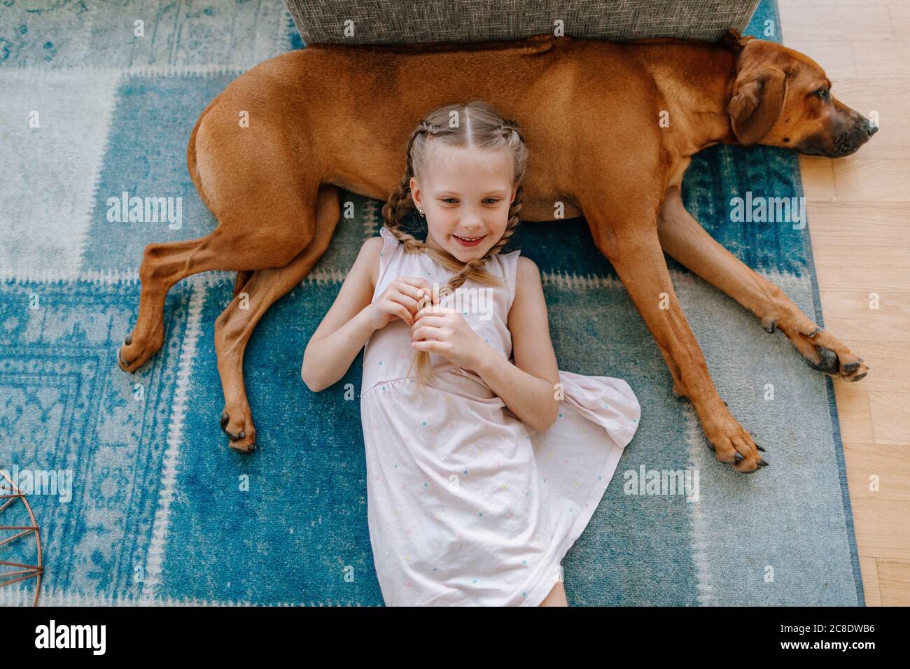 Cute girl with brown dog lying on carpet at home Stock Photo