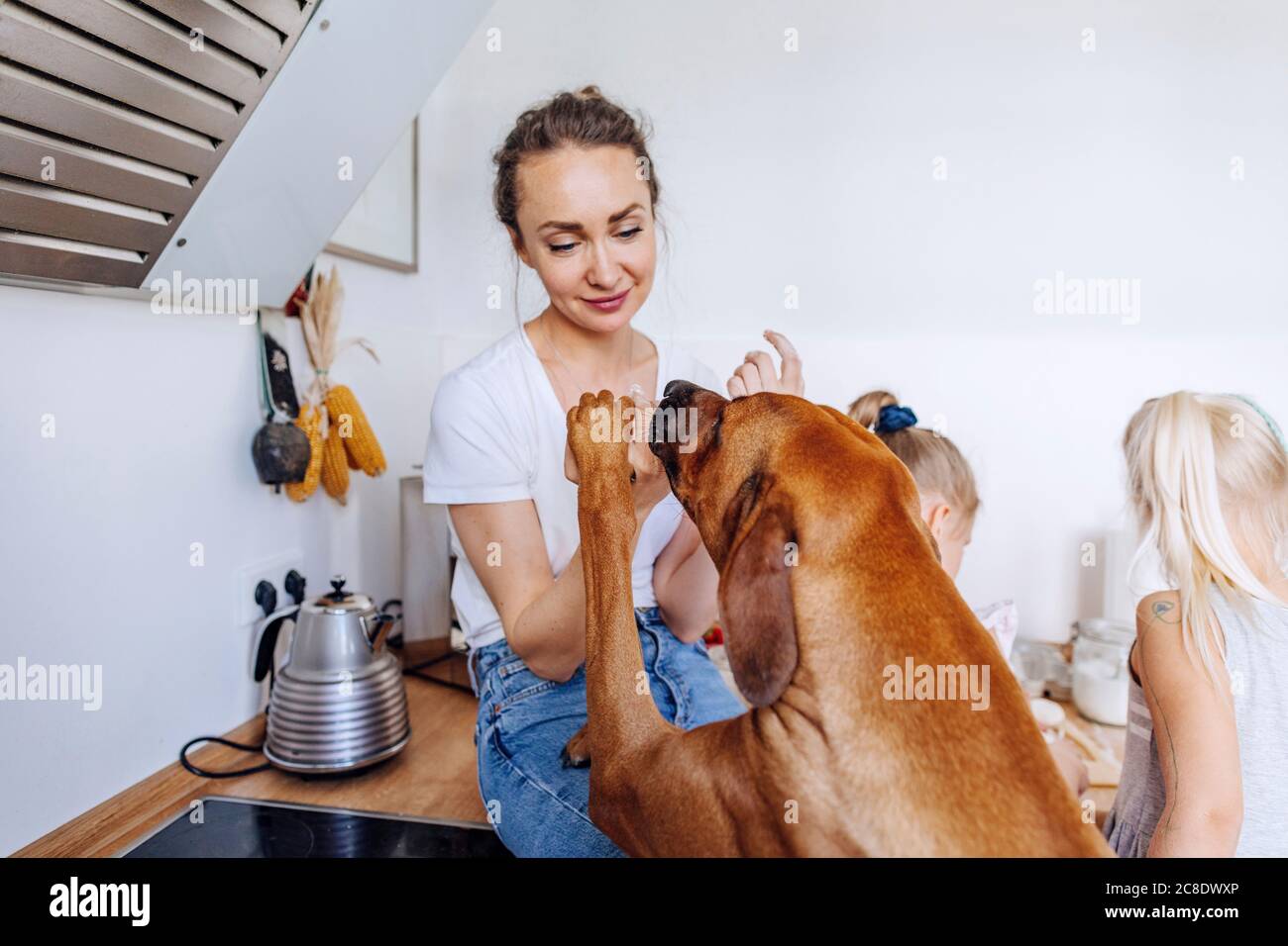 Dog rearing up on woman sitting over kitchen counter by girls at home Stock Photo