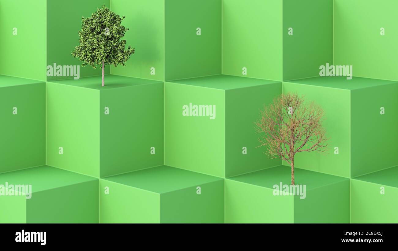 Three dimensional render of one green and one bare tree on green cubes ...