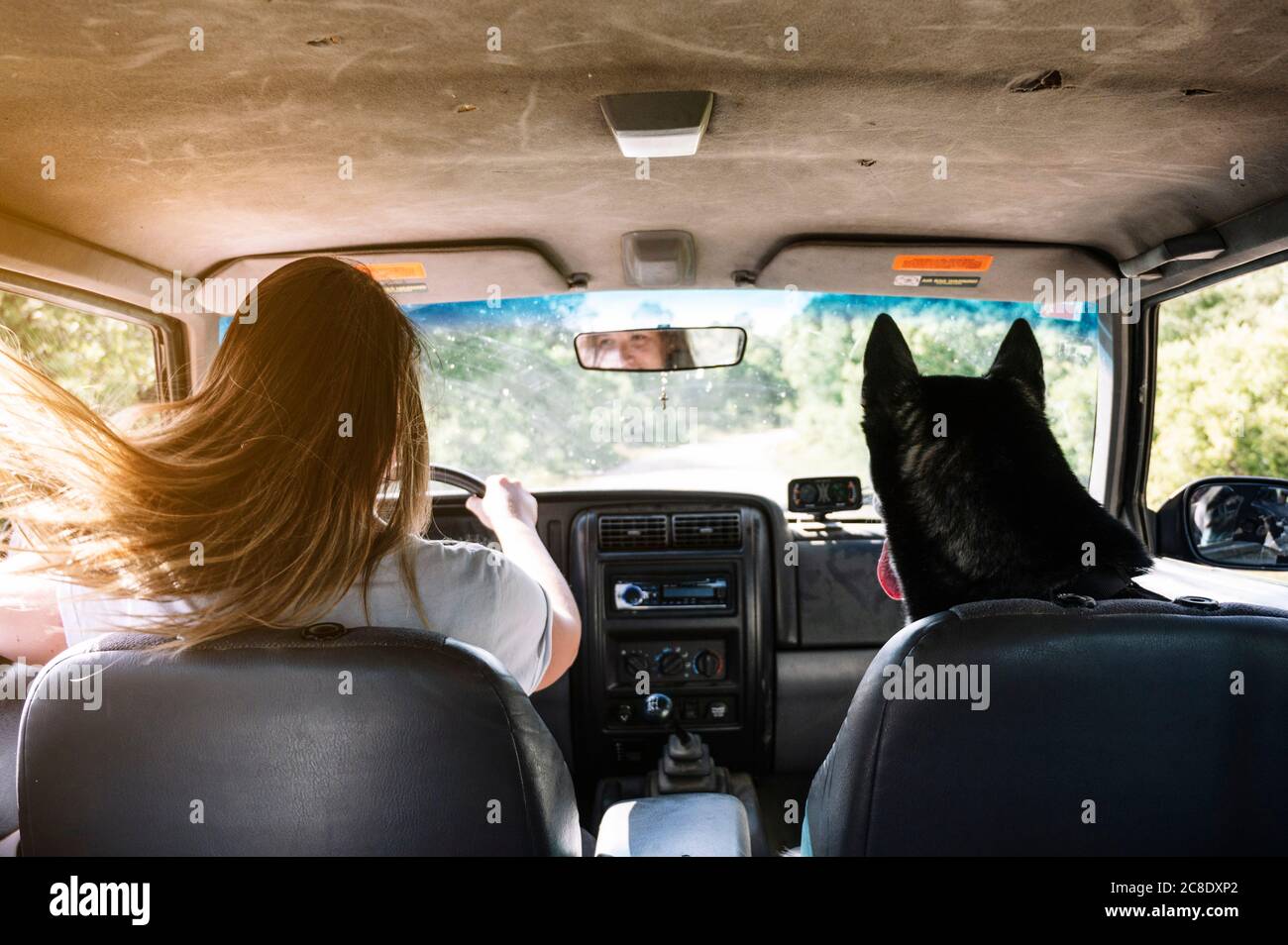 Woman with tousled long blond hair driving by husky on road trip Stock Photo