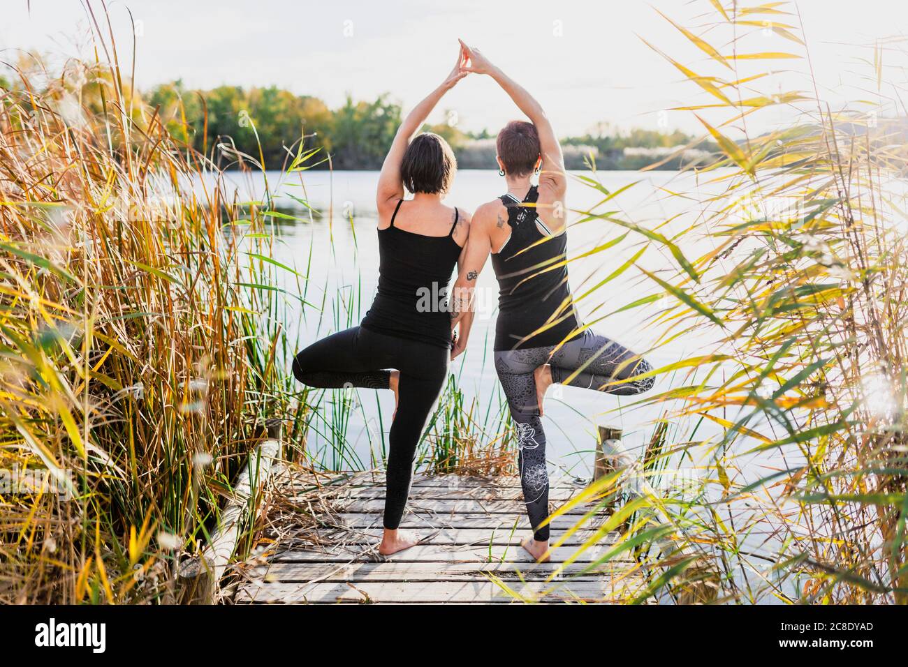 Female friends practicing tree pose on pier by lake Stock Photo