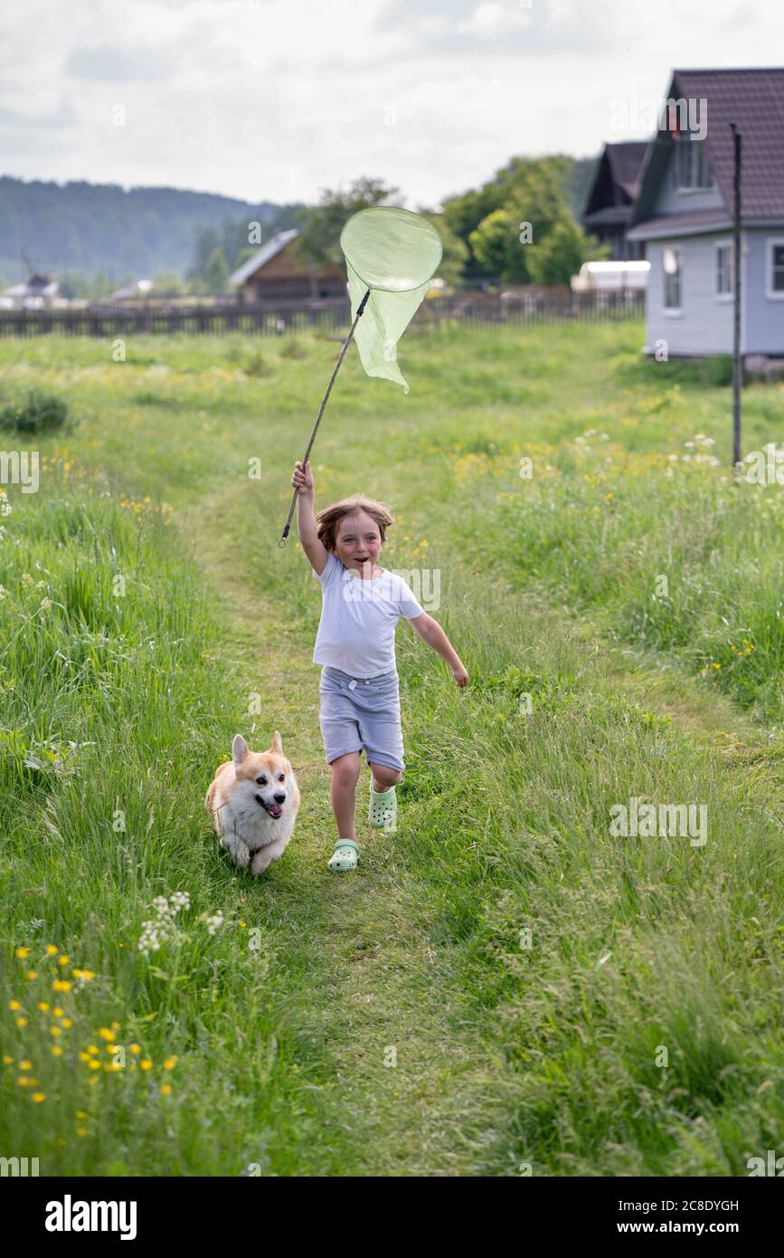 Playful boy holding butterfly net while running with dog on grassy land Stock Photo