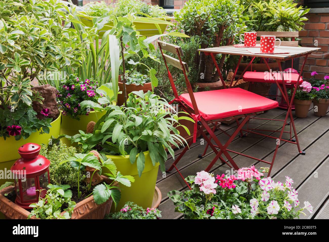 Balcony filled with large variety of potted herbs and flowers Stock Photo