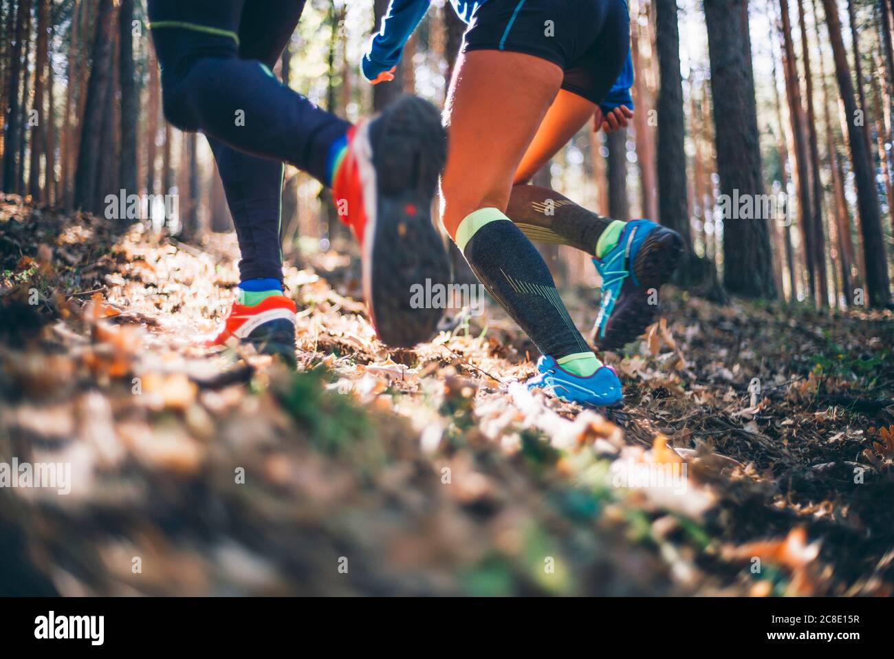 Mature couple running on land against trees in woodland Stock Photo