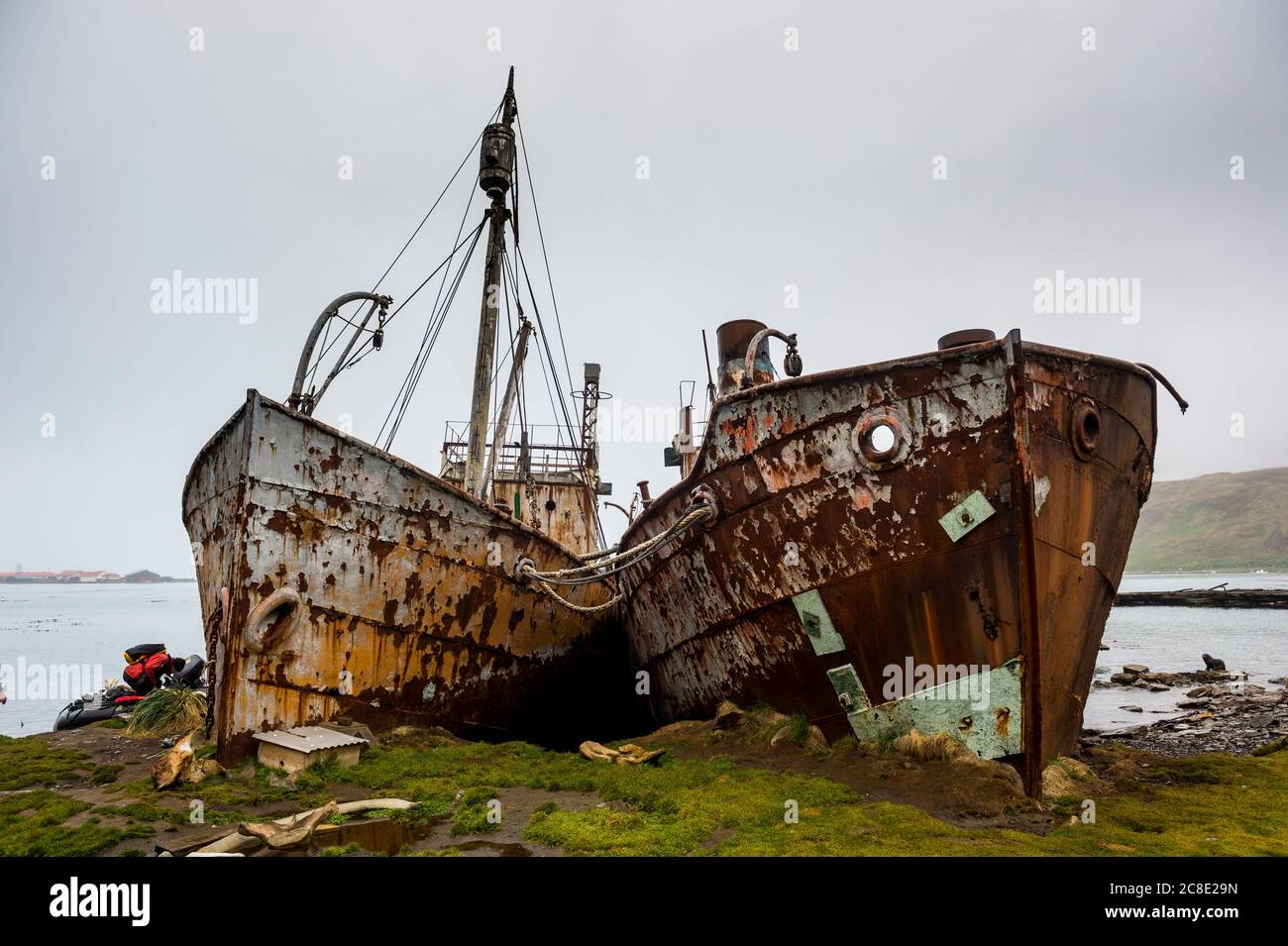 UK, South Georgia and South Sandwich Islands, Grytviken, Shipwrecks of old whaling boats Stock Photo