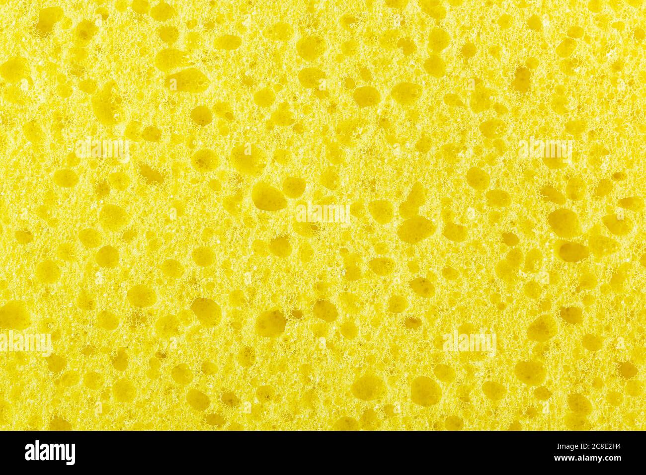 Yellow sponges stock image. Image of textured, pores - 30249997