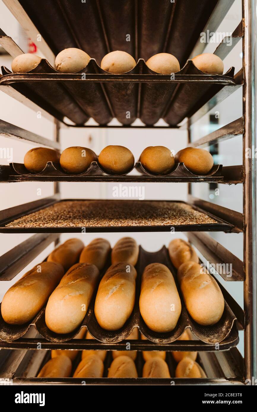 https://c8.alamy.com/comp/2C8E3T8/various-bread-loafs-in-shelves-of-trolley-at-bakery-2C8E3T8.jpg