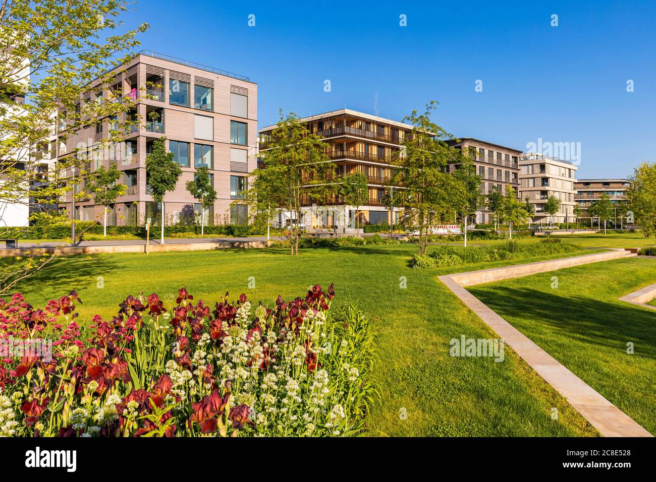Image showcasing Apartment Building Design: Creating Sustainable, Livable, & Cost ...