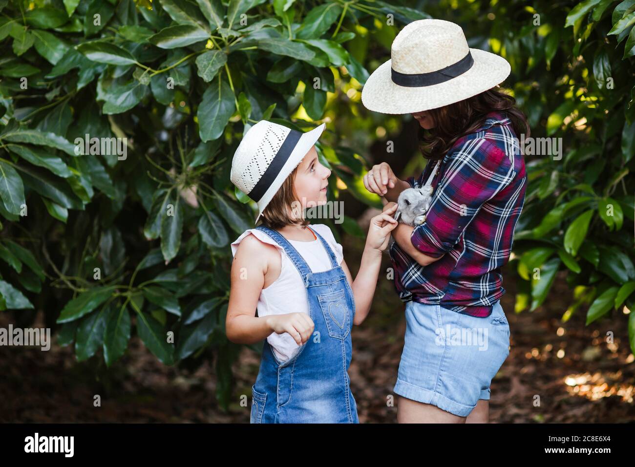 Mother and daughter stroking rabbit in garden Stock Photo