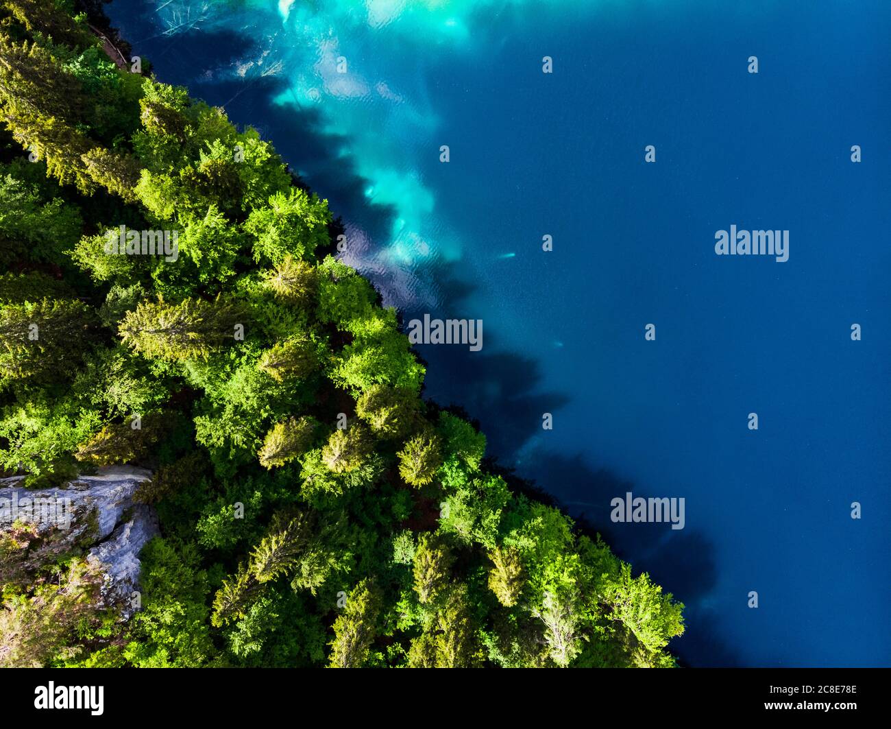 Aerial view of forested lakeshore in italian alps hi-res stock ...