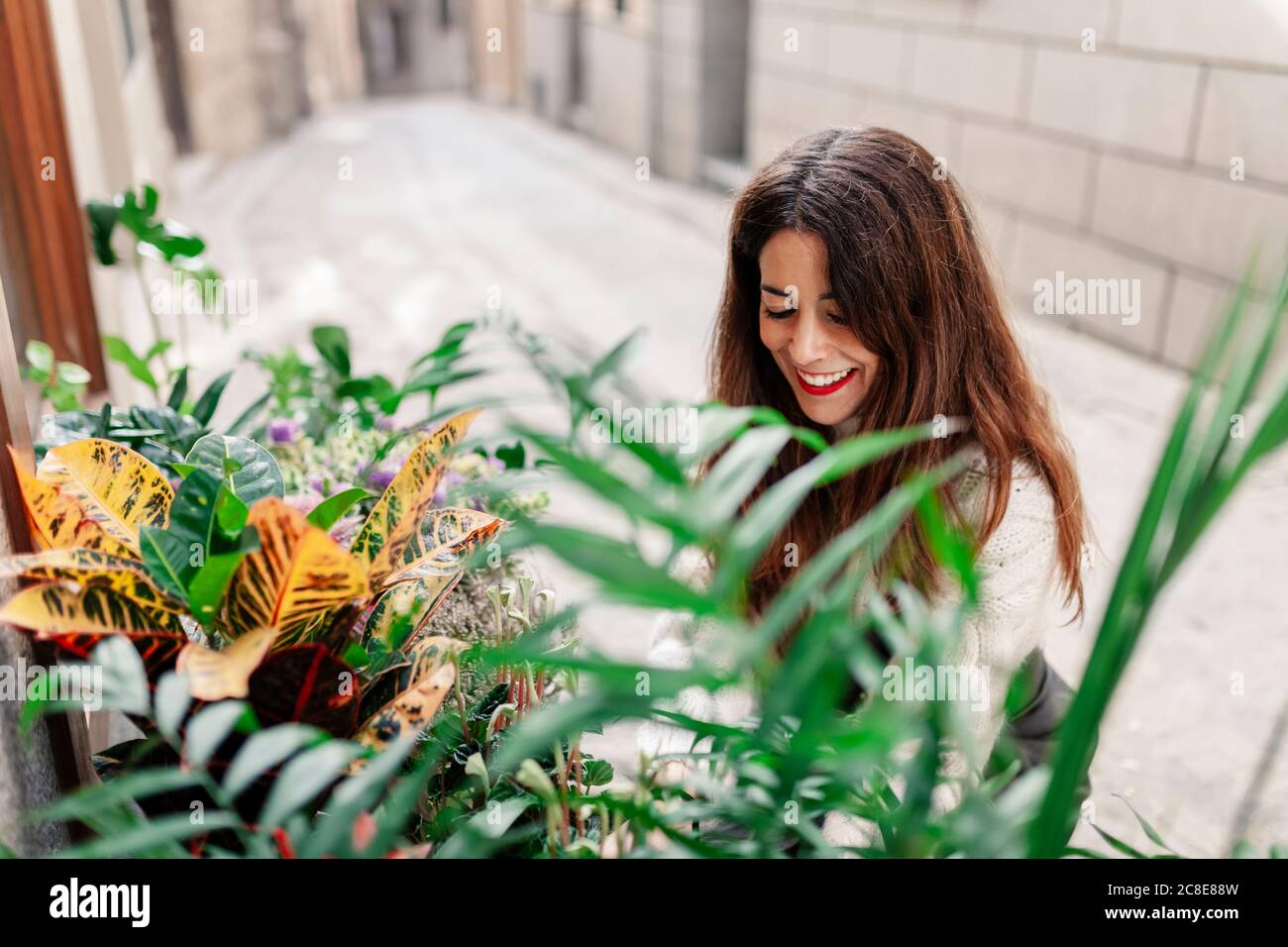 Smiling woman placing plants outside shop seen though window Stock Photo