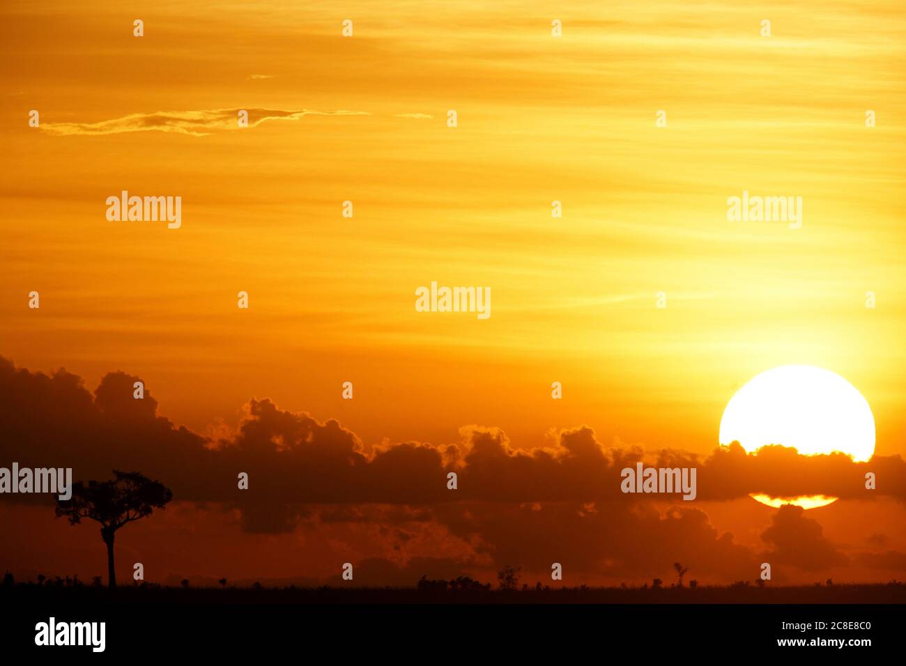 Democratic Republic Of Congo, Garamba National Park at moody sunset Stock Photo