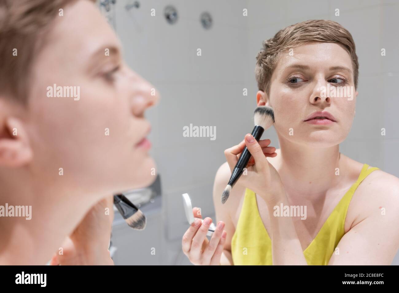 Short Haired Brush High Resolution Stock Photography and Images - Alamy
