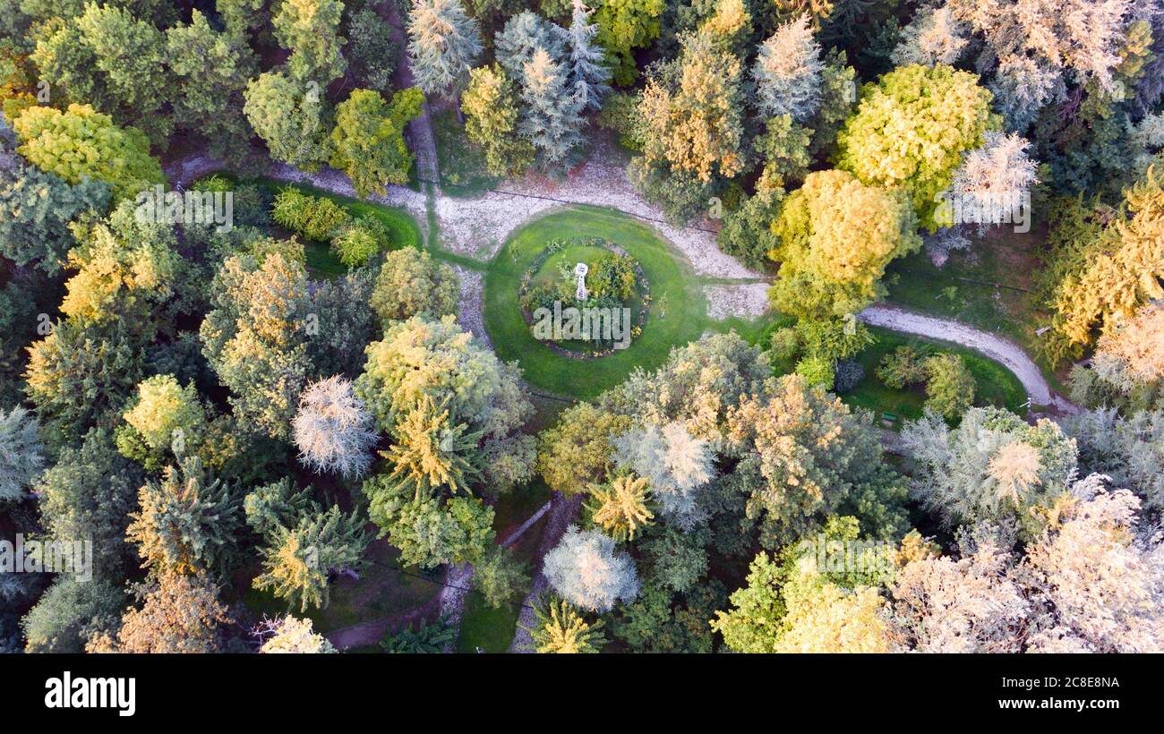 Aerial view of colorful forest trees and secret garden Stock Photo - Alamy