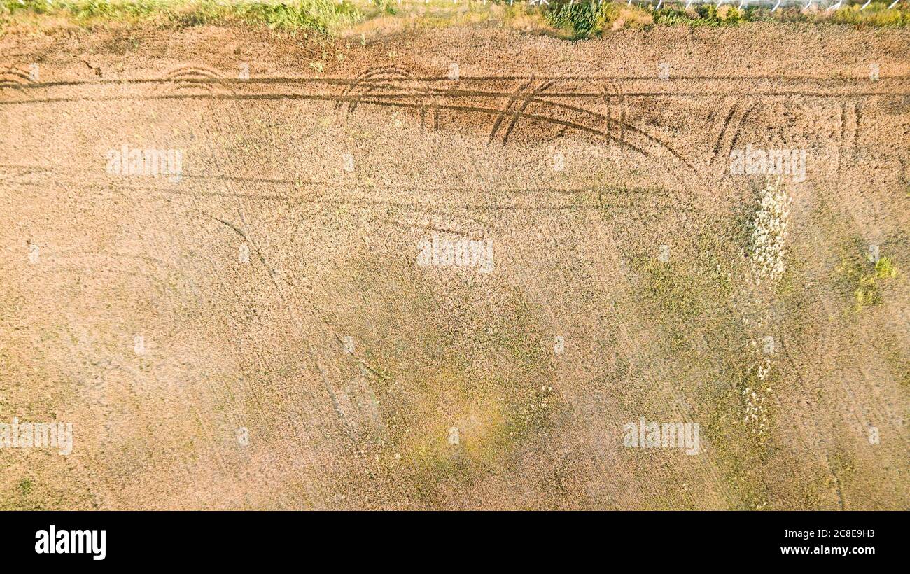 Aerial view of the golden wheat field. Pathway can be seen. Stock Photo