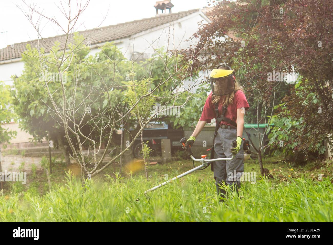 Mid adult woman cutting grass with gasoline machine in farm Stock Photo