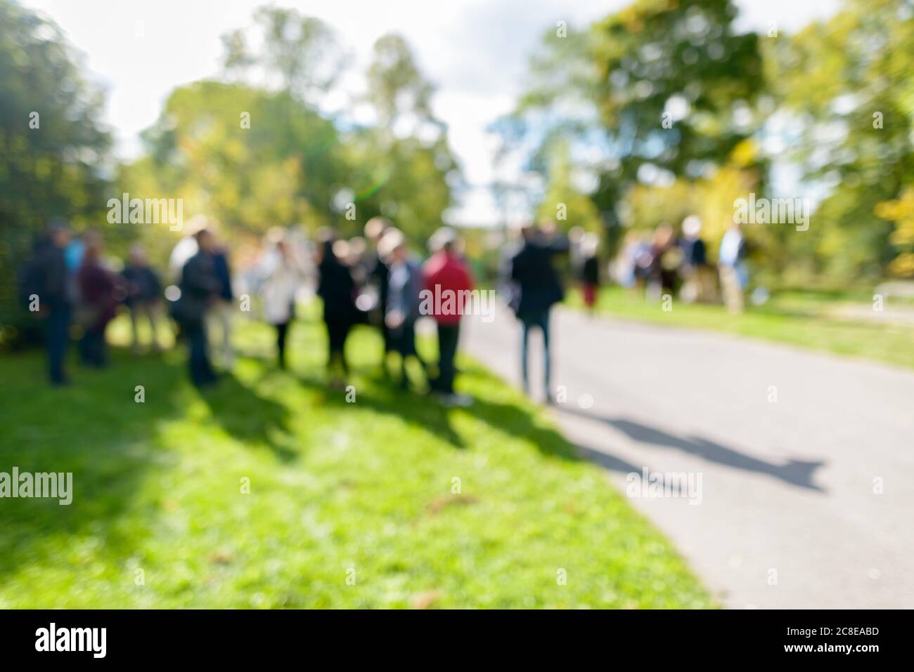 Defocused people in the park standing on grassy plain and tall green trees on sunny day Stock Photo