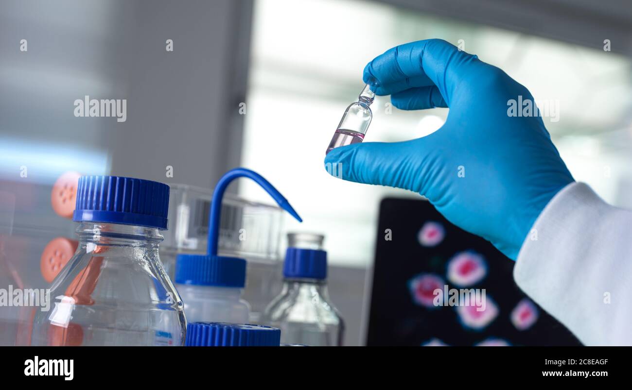 Pharmaceutical research into infectious disease and pandemics, scientist developing a drug for a clinical trial in the laboratory Stock Photo