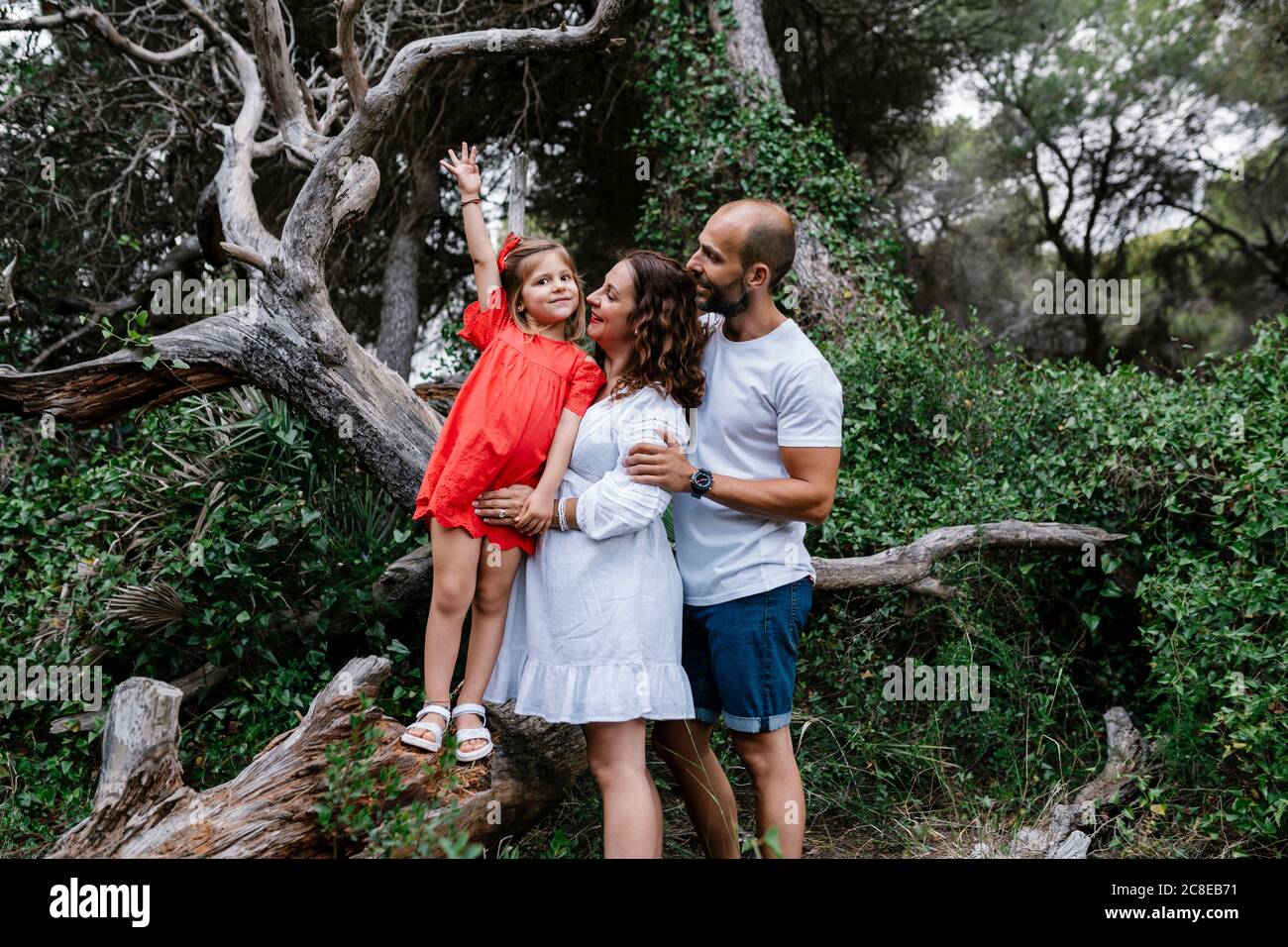 Parents looking at daughter standing on fallen tree in forest Stock ...