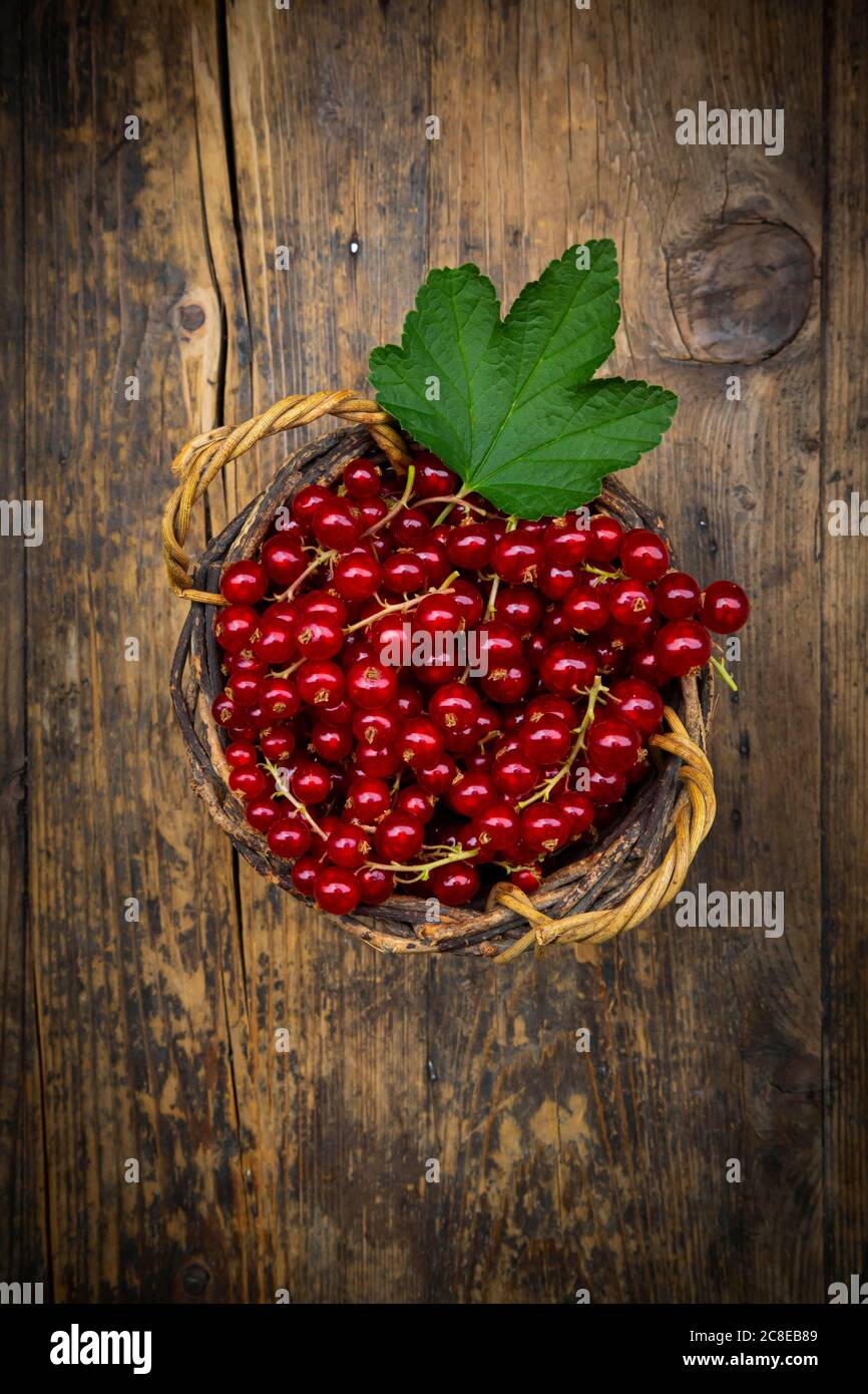 Small wicker basket with ripe red currant berries Stock Photo