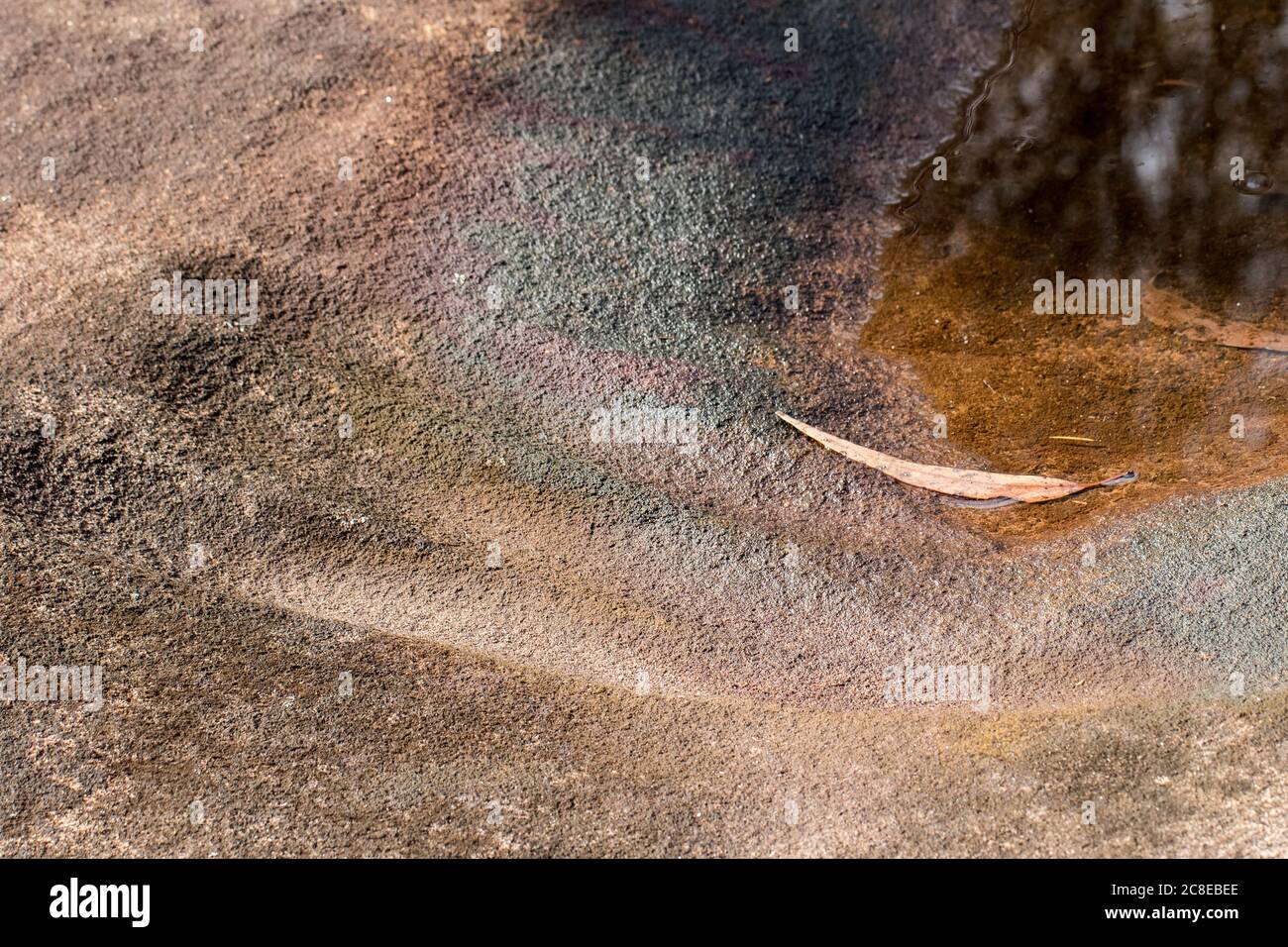 Australian Aboriginal axe sharpening grooves in sandstone rock platform