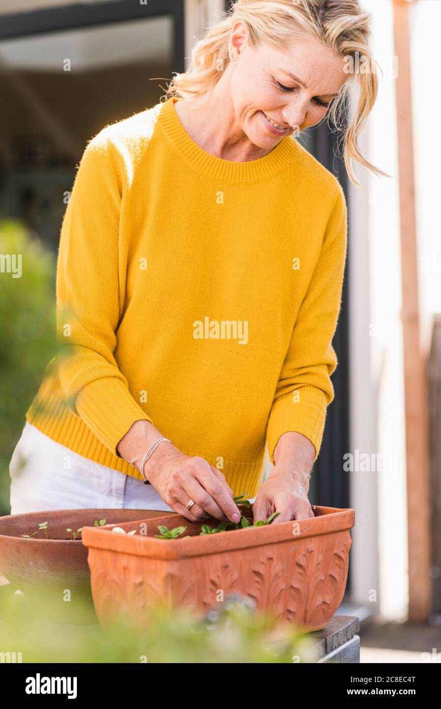 Smiling mature woman gardening on terrace Stock Photo