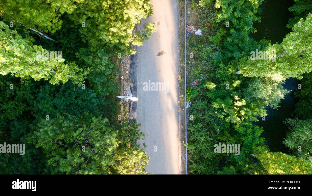 Aerial view of the forest pathway near the trees at sunset. street lamp can be seen Stock Photo