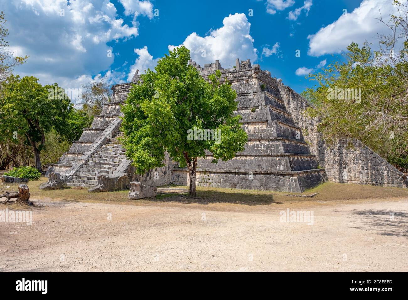 Old pyramid in the jungle at the ancient mayan city of ...