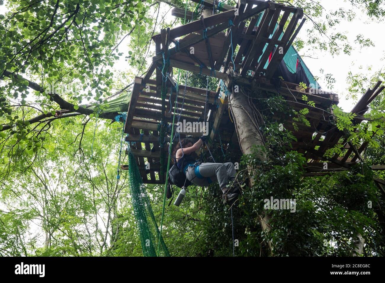 Denham, UK. 23 July, 2020. An environmental activist from HS2 Rebellion climbs up to a tree platform in Denham Country Park. Activists from umbrella group HS2 Rebellion based at camps along its route continue to protest against the HS2 high-speed rail link which is currently projected to cost £106bn and will remain a net contributor to CO2 emissions during its projected 120-year lifespan. Credit: Mark Kerrison/Alamy Live News Stock Photo