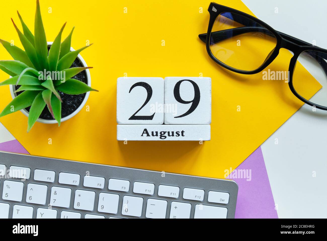 29th august - twenty-ninth day month calendar concept on wooden blocks Stock Photo