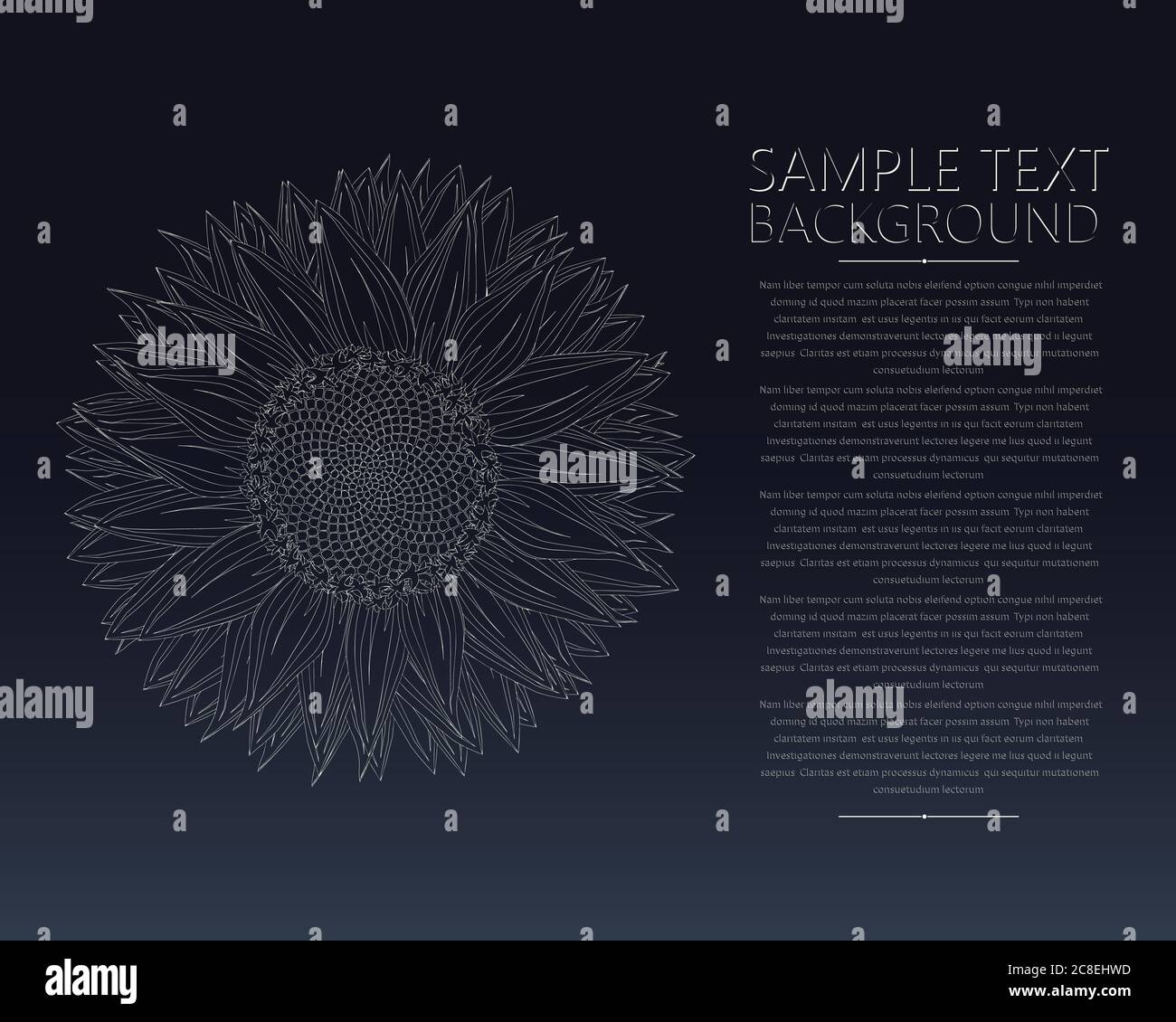 Sunflower vector template text card Stock Vector