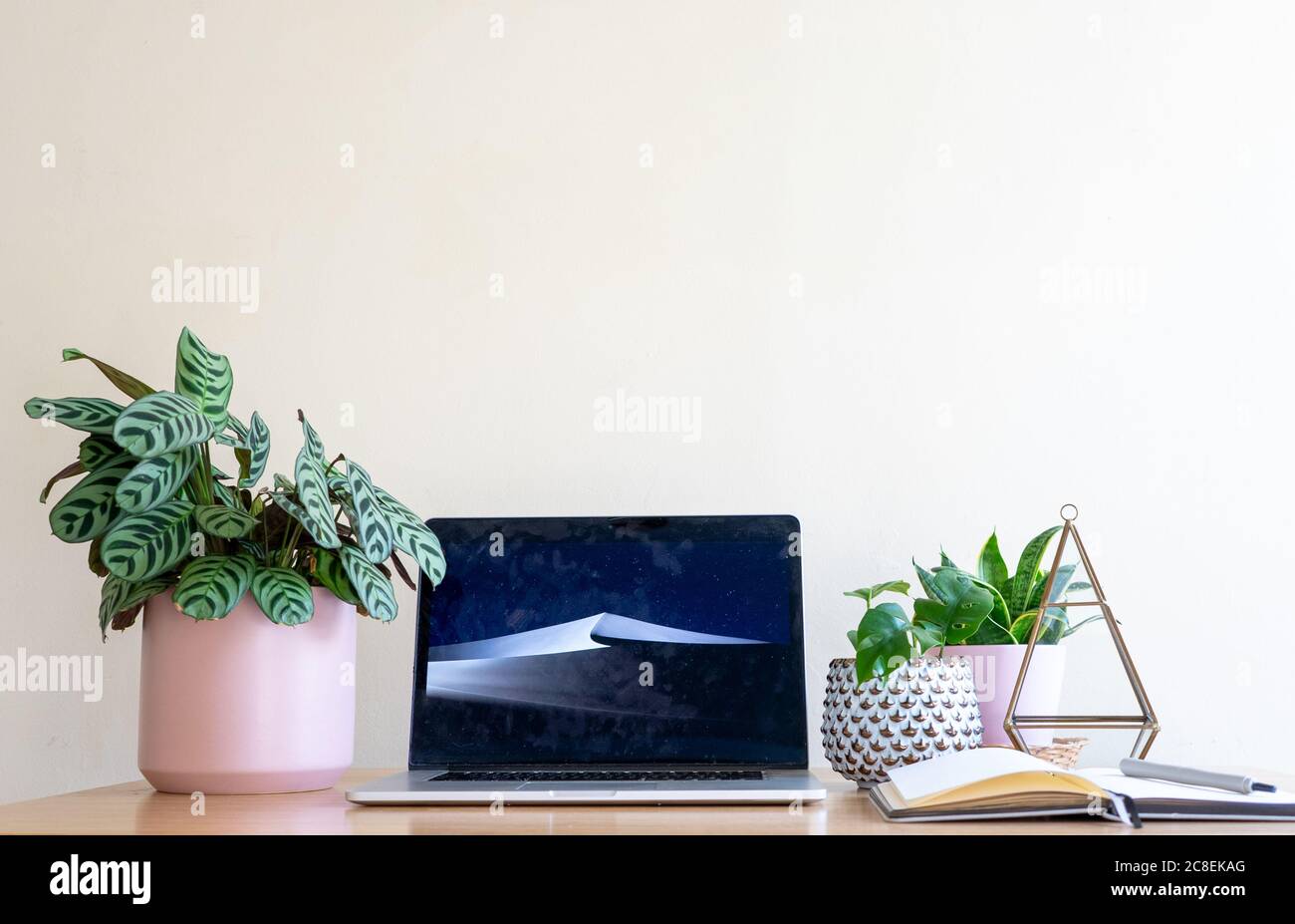 Working from home with plants and notebook on standing desk Stock Photo