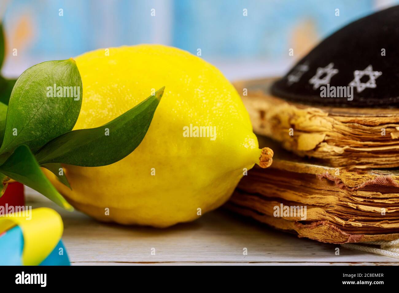 Religious of traditional fair Jews of Sukkot choose etrog fruit of ritual plants on the eve Stock Photo