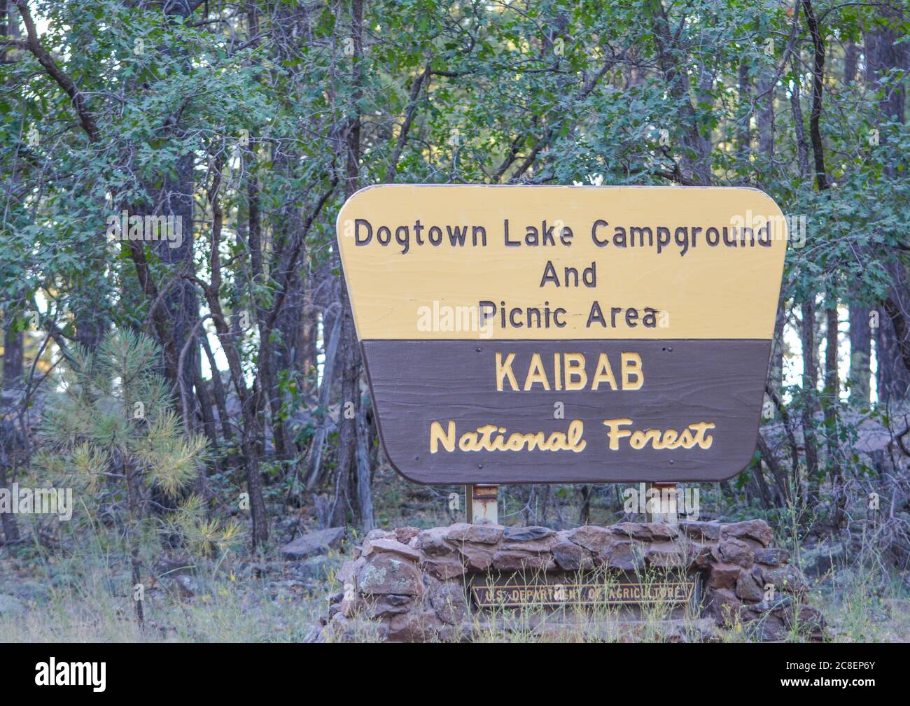 Dogtown Lake in the Kaibab National Forest Sign. Arizona Stock Photo