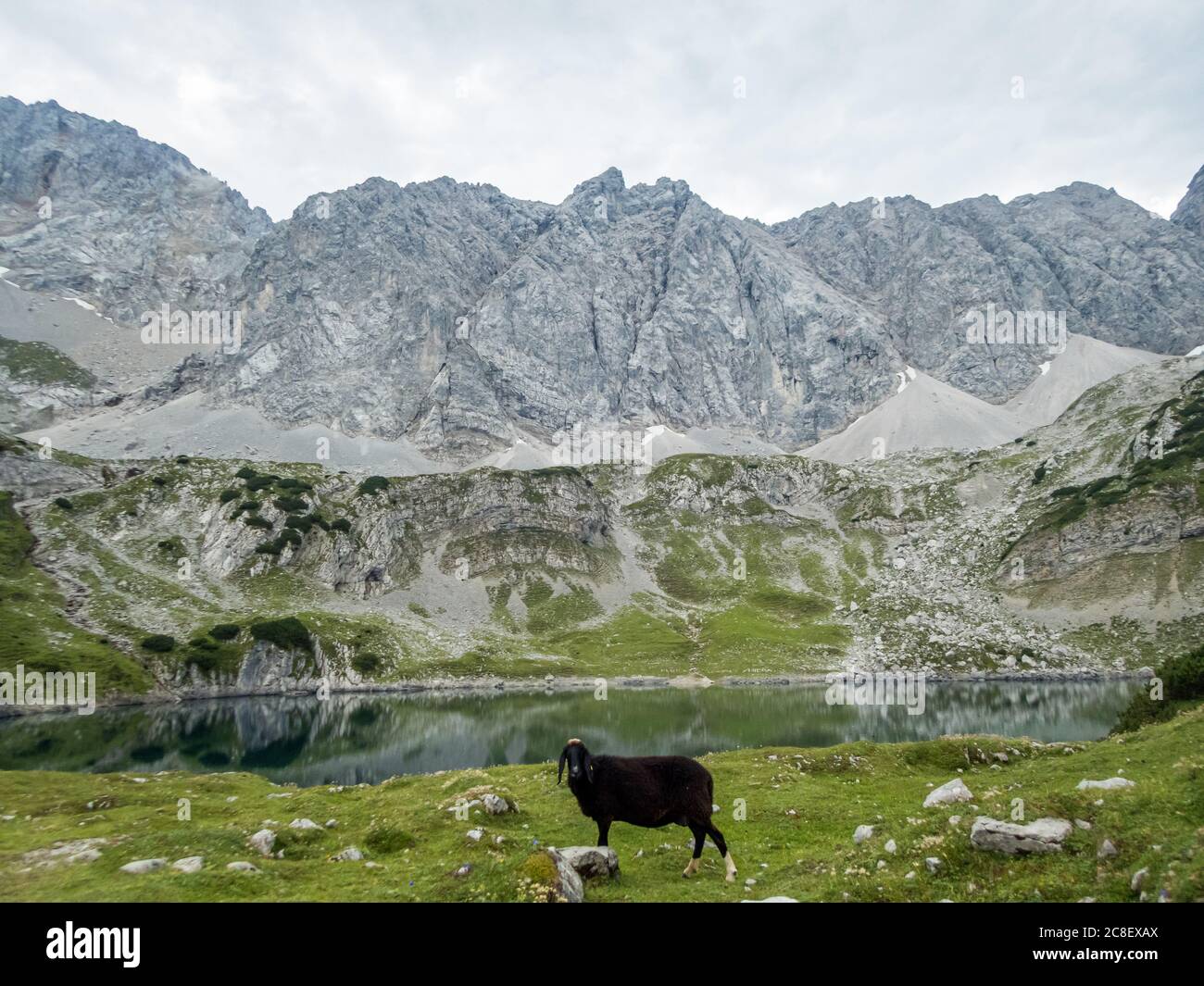 Fantastic hike to Seebensee and Drachensee in the Mieminger Mountains ...