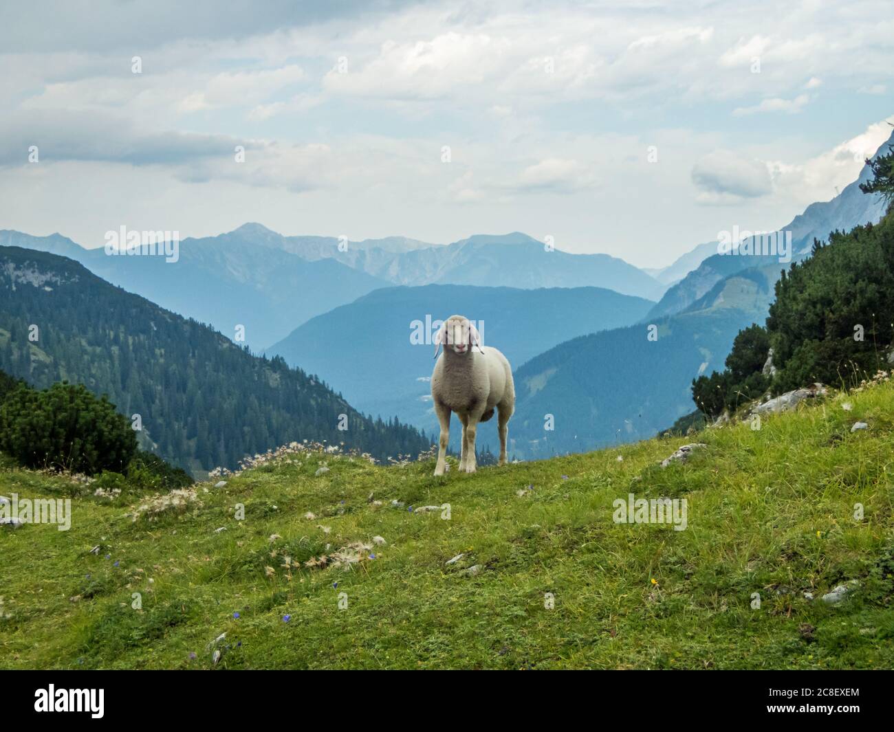 Fantastic hike to Seebensee and Drachensee in the Mieminger Mountains ...