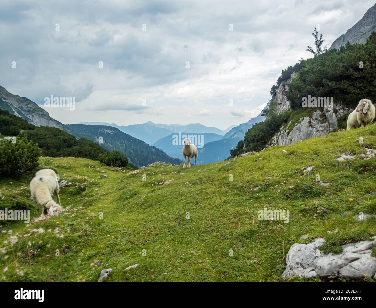 Fantastic hike to Seebensee and Drachensee in the Mieminger Mountains ...